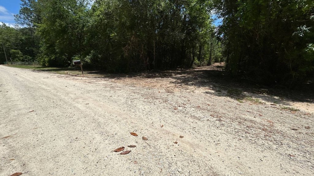 Picture 21