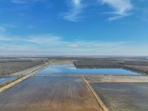 Hunting Farmland with Duck Blinds