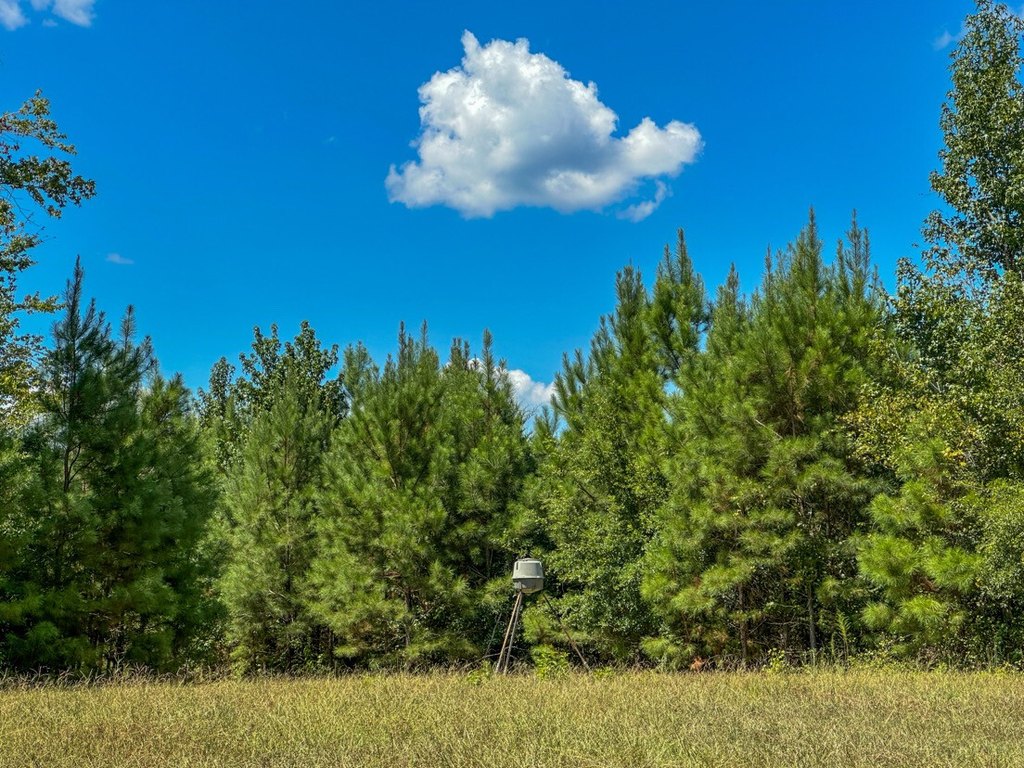 Picture 32