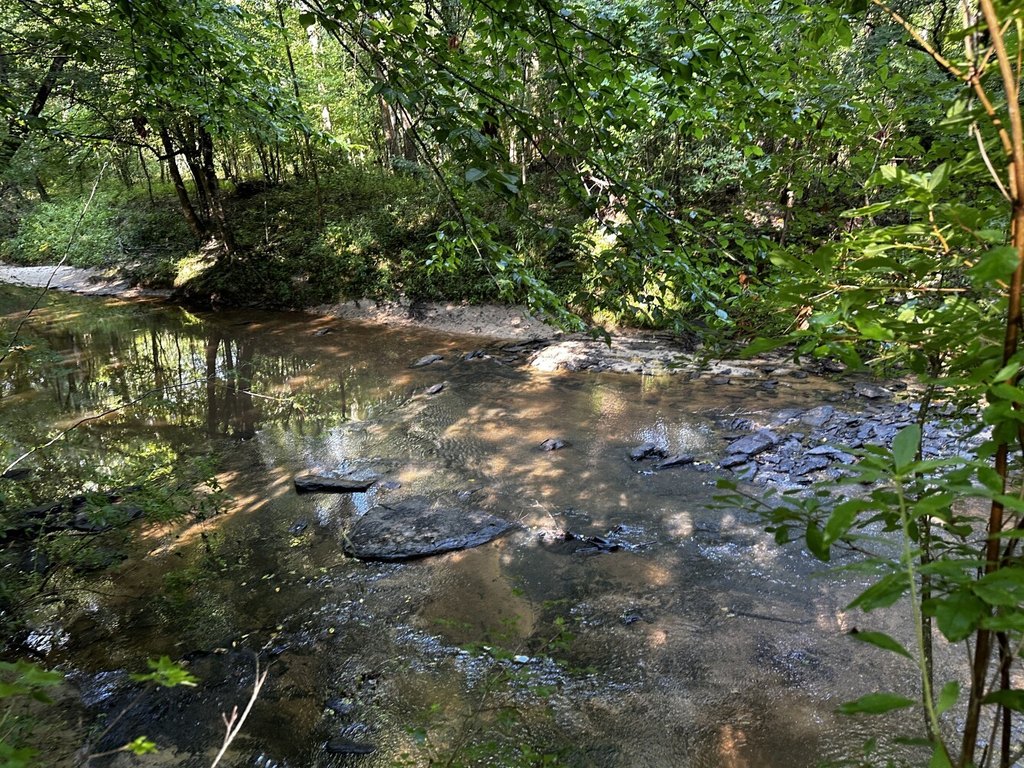 Picture 37