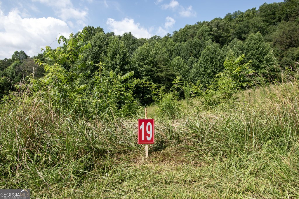 Picture 32