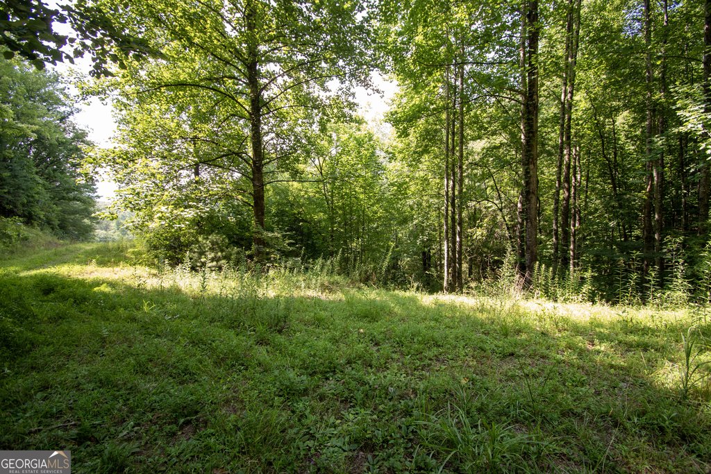 Picture 25
