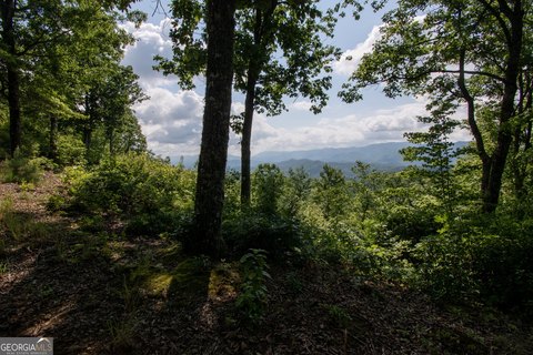 LAND - Marble, NC