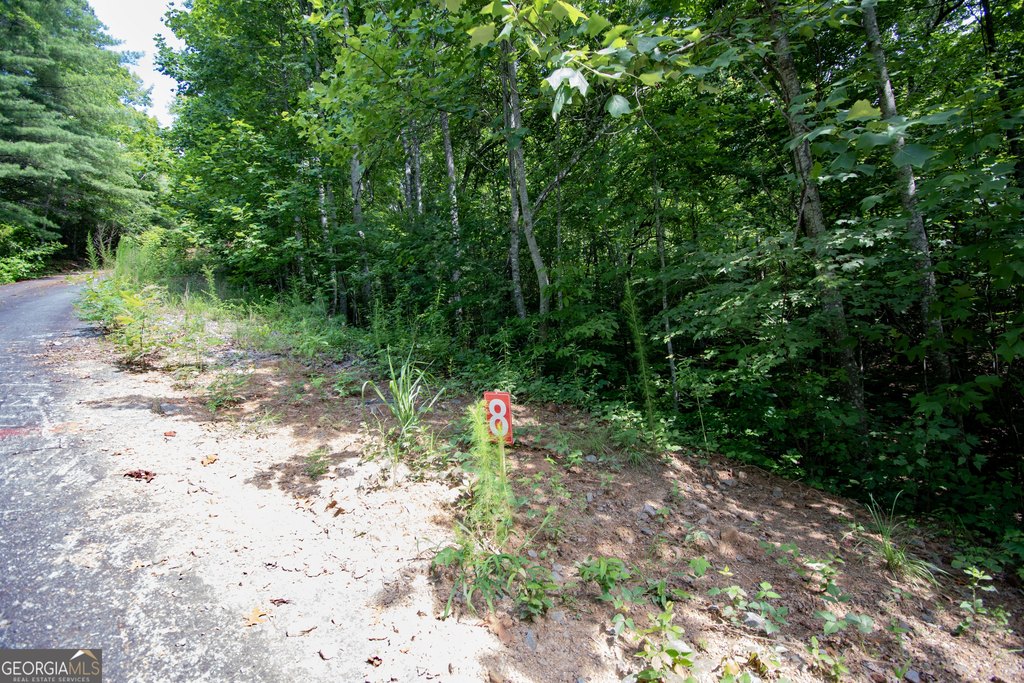 Picture 11