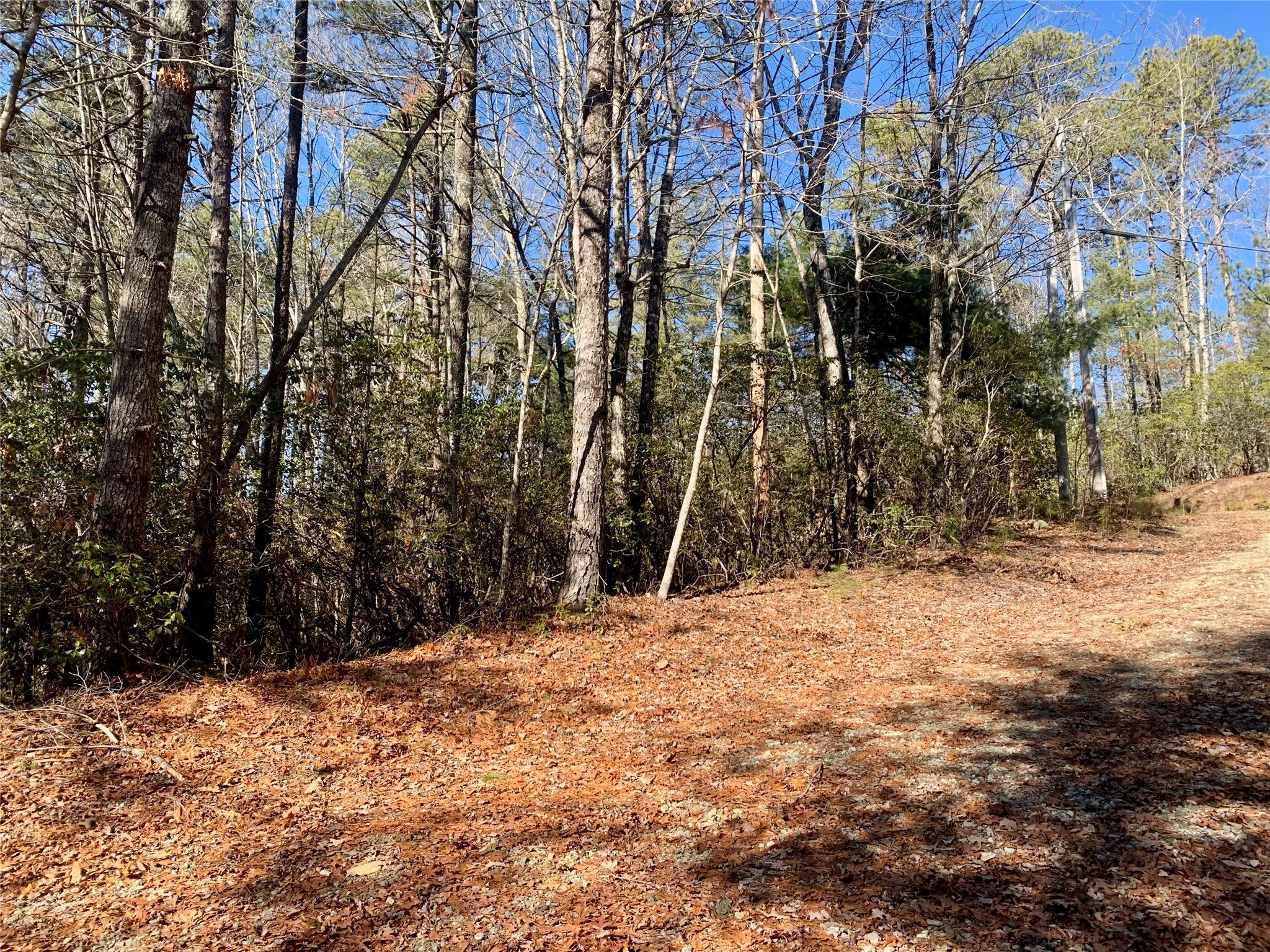 Land Near Gorges State Park
