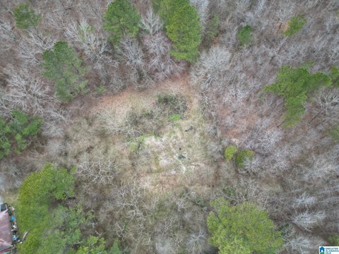 Residential Lots in Warrior, Alabama