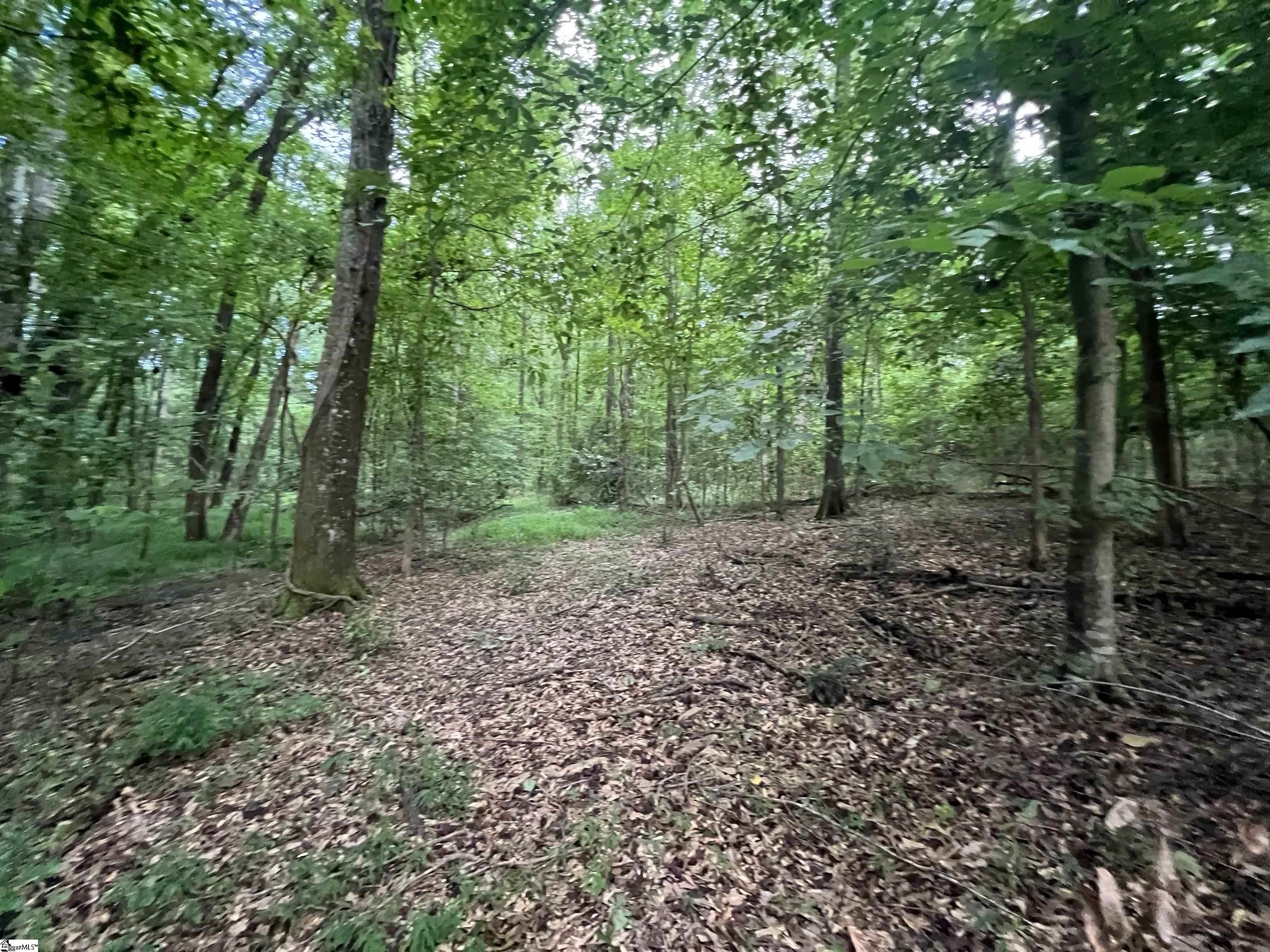 6+ Acres Buildable Land