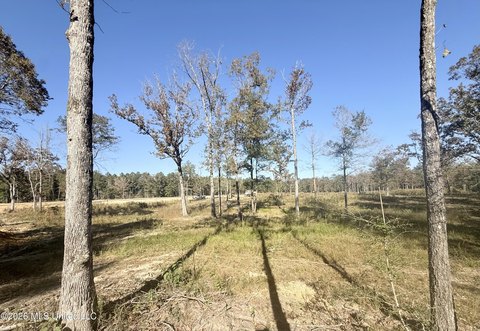 Land, Bogue Chitto, MS