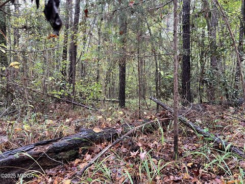 Residential Land in Clinton Crossing