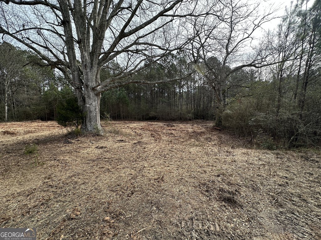 Picture 4