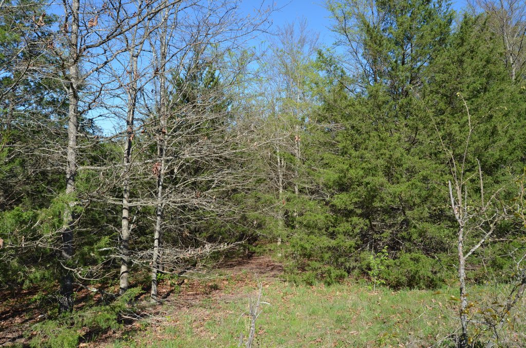 Picture 6