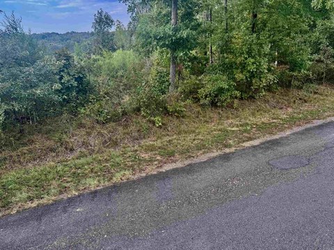 Vacant Land, Hot Springs, AR