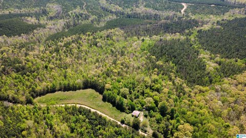LAND - MUSCADINE, AL