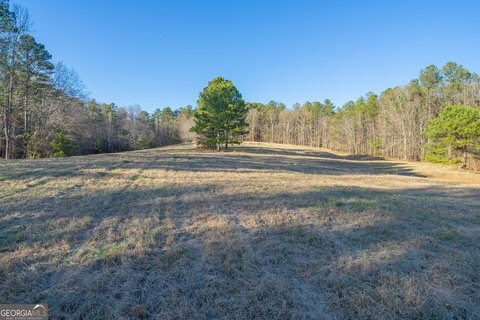 Picture of Land at Dabbs Bridge Rd 2000, Acworth, GA