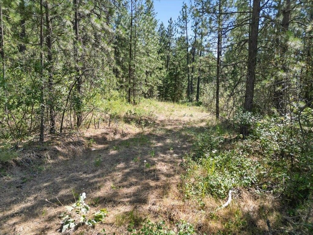 Picture 9