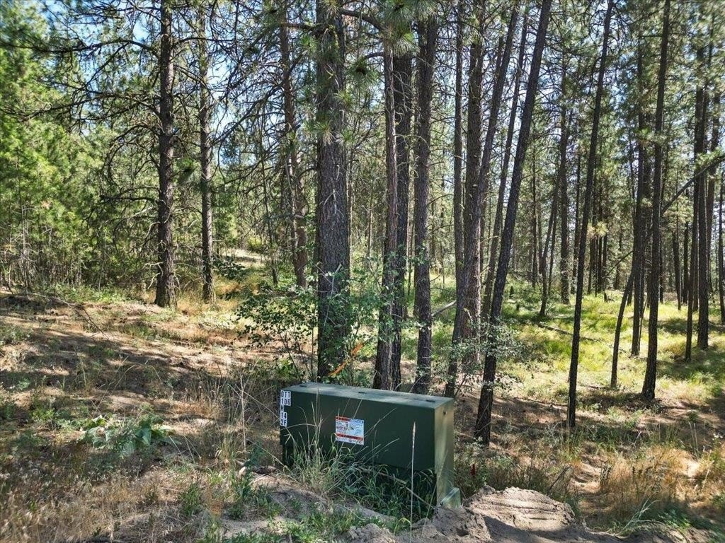 Picture 4