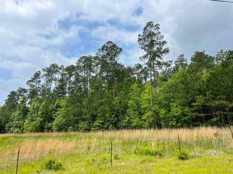 Unrestricted Wooded Land Tract