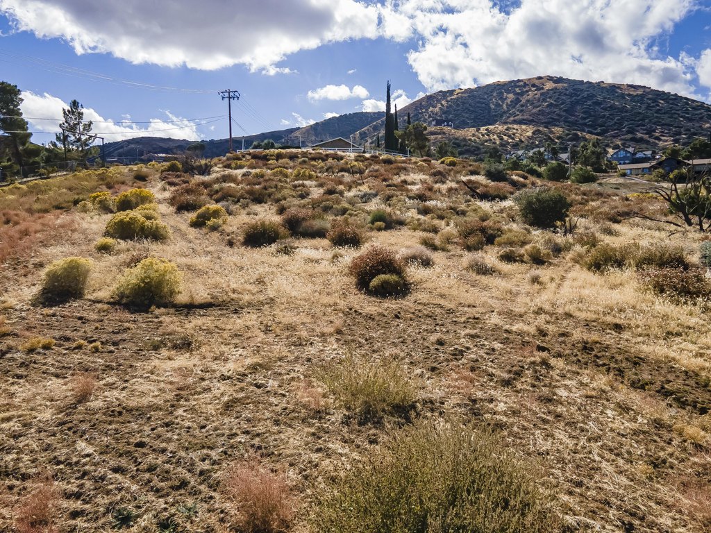 Picture 6
