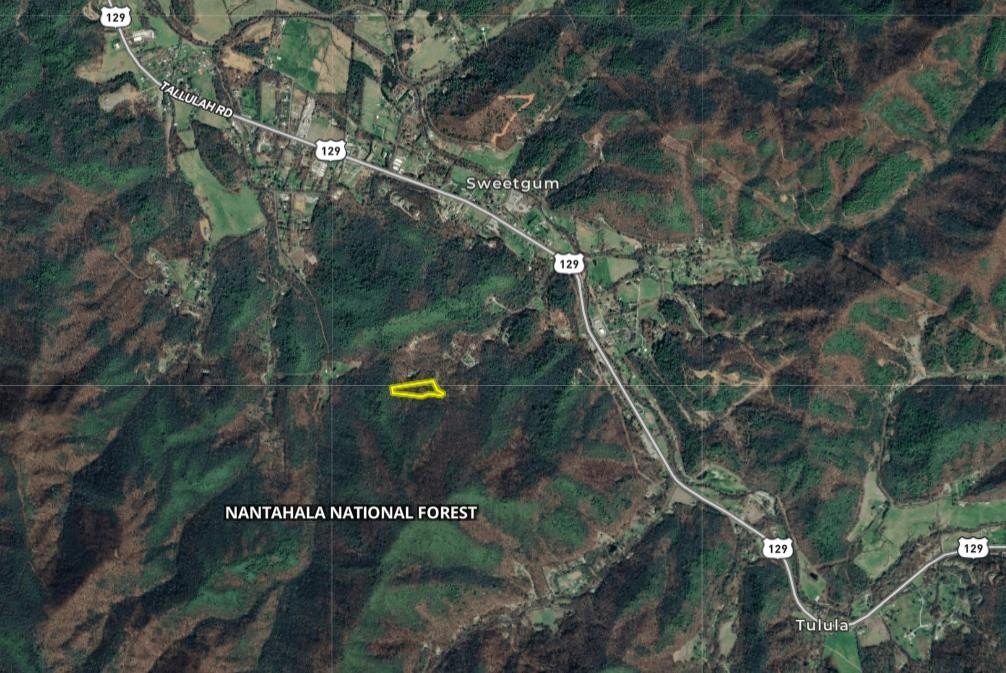 Wooded Acreage Near Robbinsville