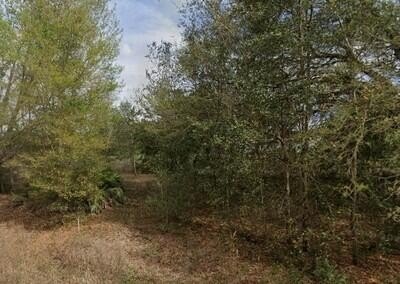 Land & Docks, Interlachen, FL