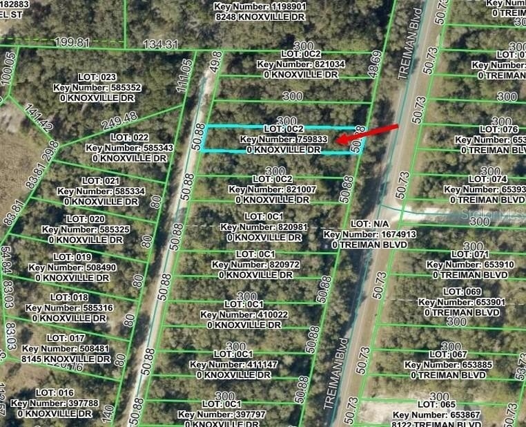 Residential Lot in Webster, FL