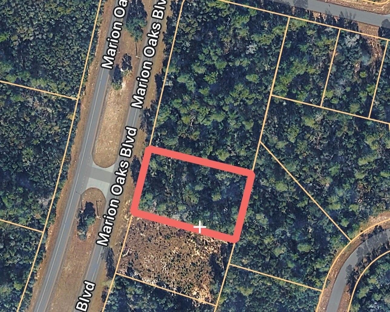 Ocala Land Multifamily Development Opportunity