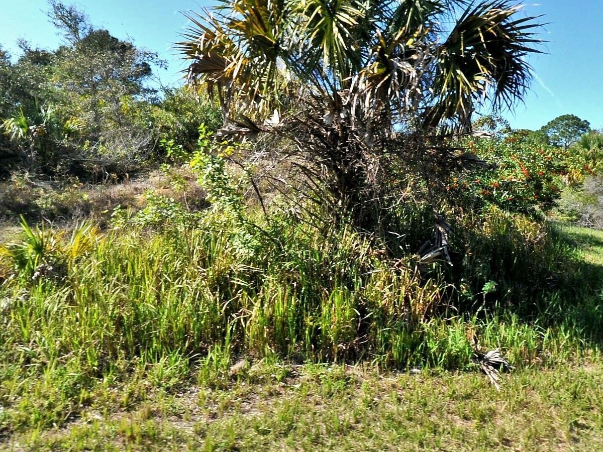 Oversized Lot on Freshwater Canal