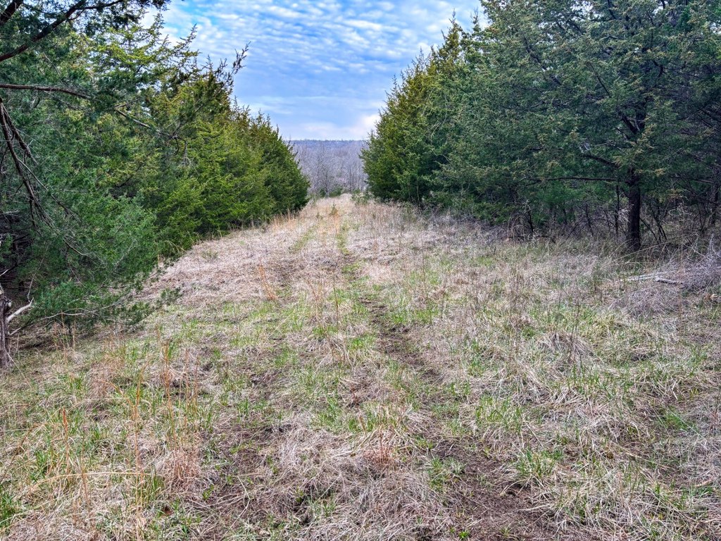 Picture 25