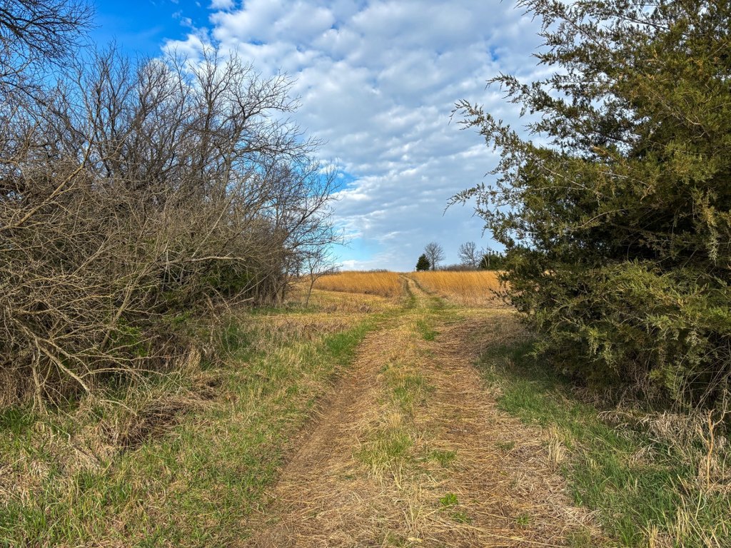 Picture 48