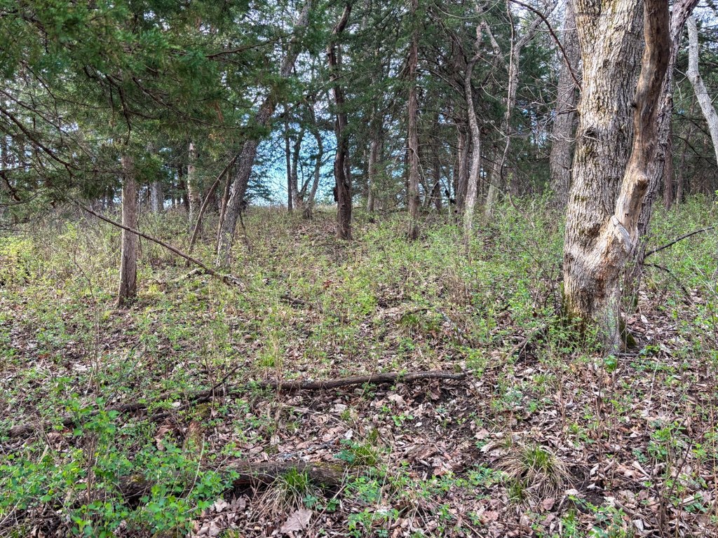 Picture 41