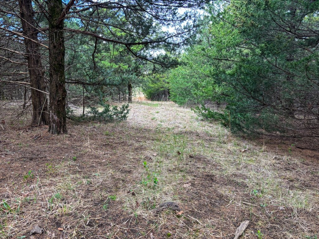 Picture 26