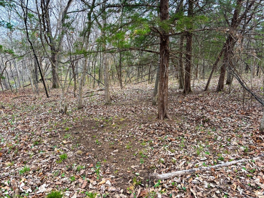 Picture 31