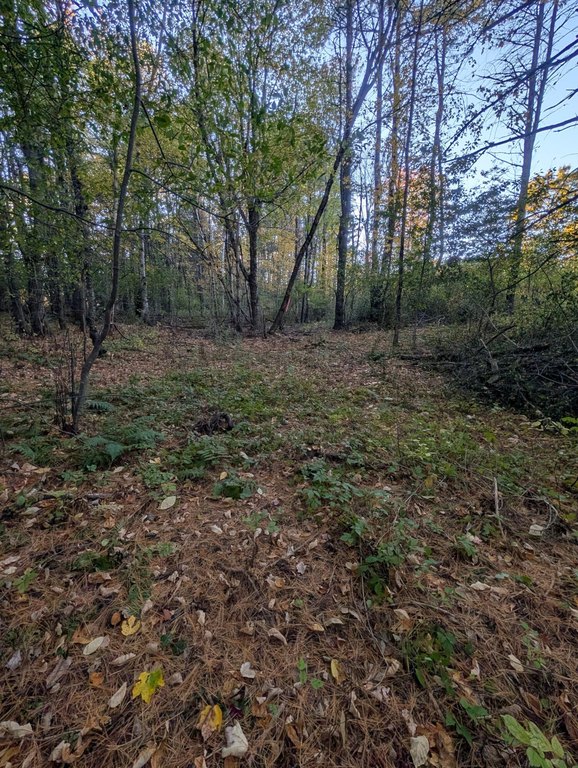 Picture 3
