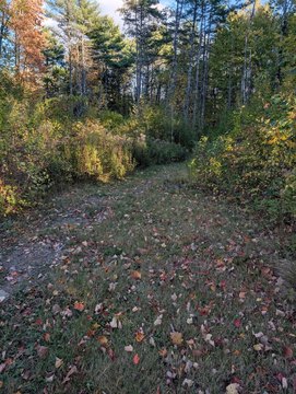 Land, North Yarmouth, ME