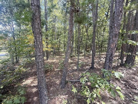 Vacant Land, Hot Springs Village, AR