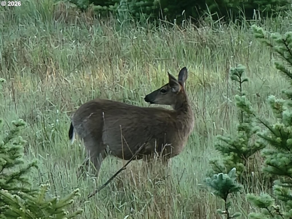Picture 32