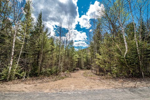 Wooded Mountain Home Building Lot