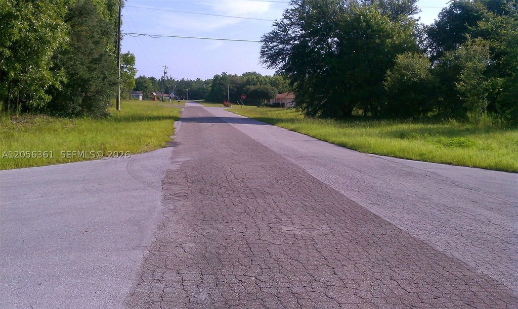 Picture 5