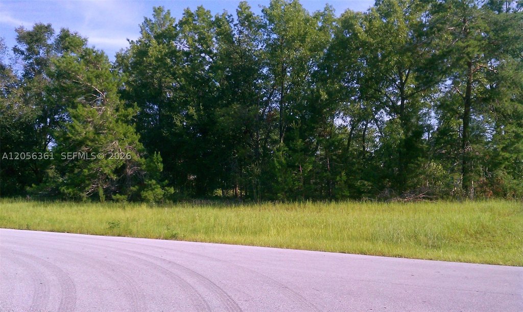 Picture 4