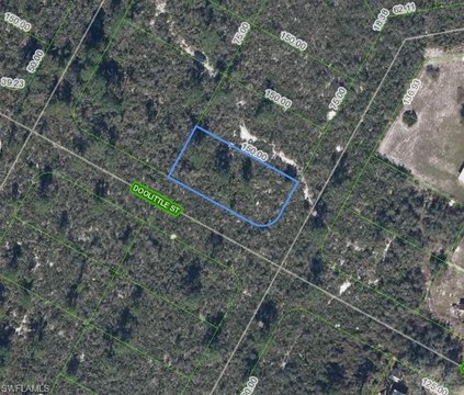 LAND - LAKE PLACID, FL