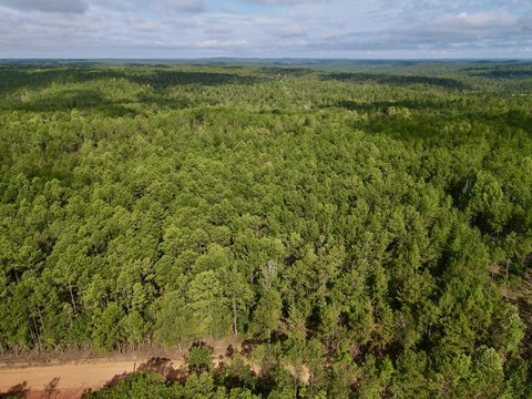 Land, Clanton, AL