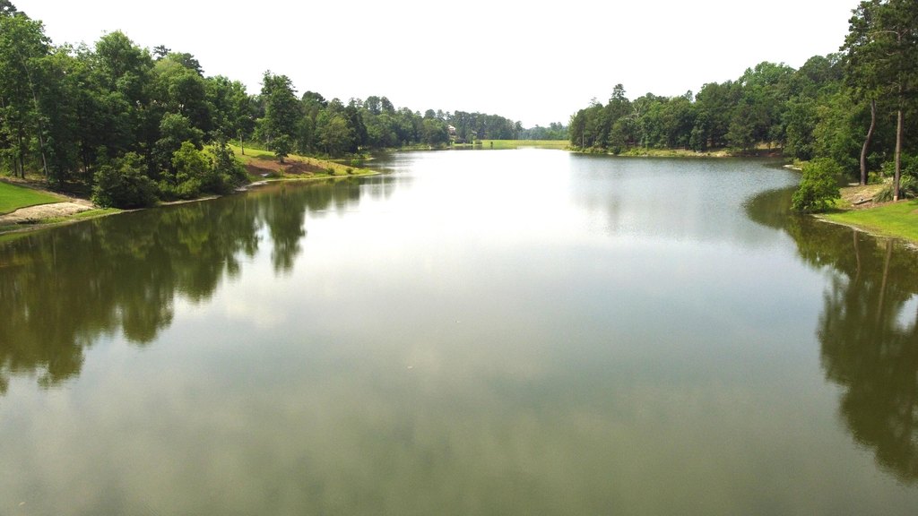 Picture 8
