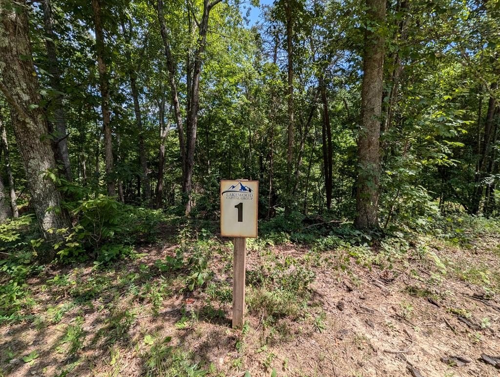 Blue Ridge Vacant Lot