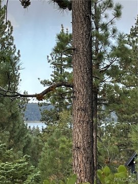 Land, Big Bear Lake, CA