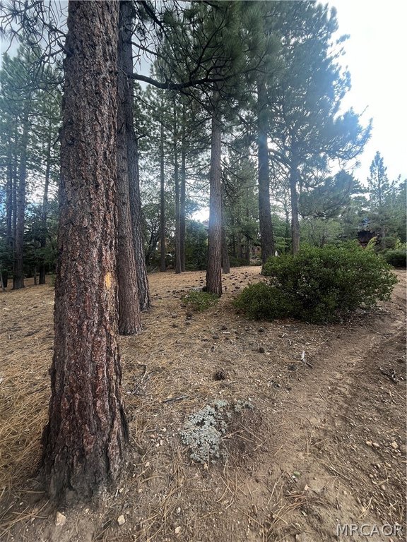 Picture 11