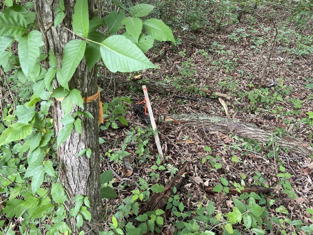 Picture 17