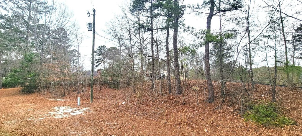 Picture 9