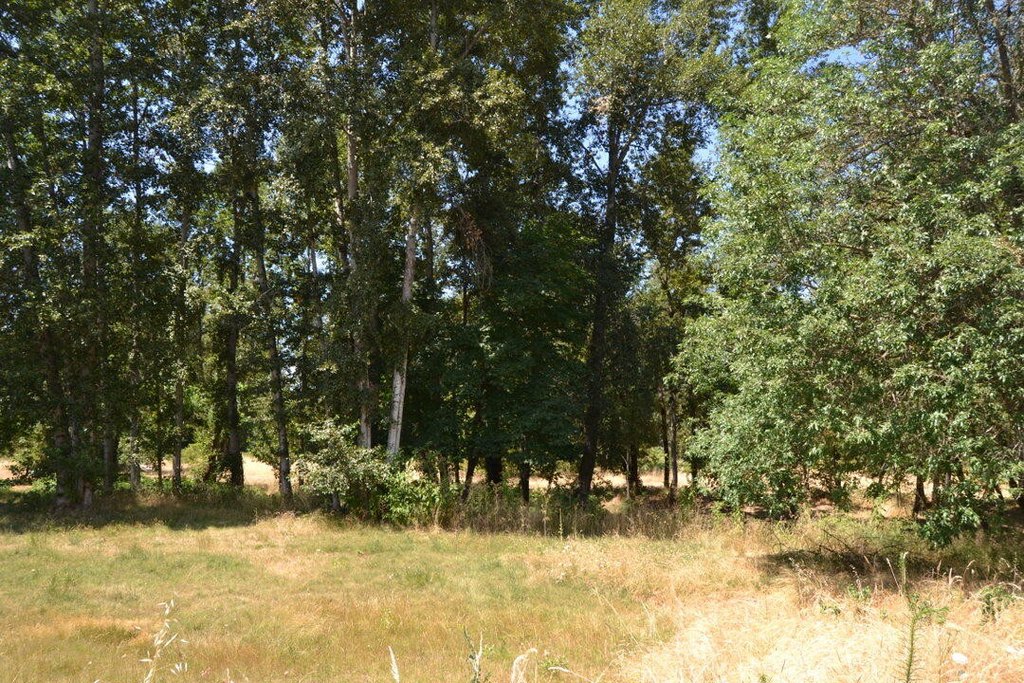 Picture 7