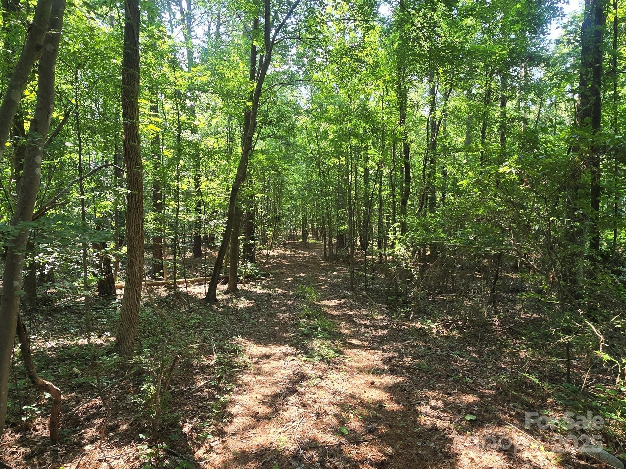 Secluded Lot for Dream Home