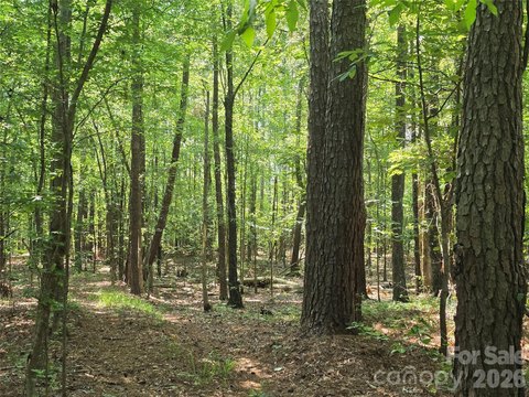 Secluded Lot for Dream Home